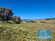 Kommos Südkreta, Kommos: Ruhiges Baugrundstück mit fantastischem Meerblick in malerischer Landschaft zu verkaufen Grundstück kaufen